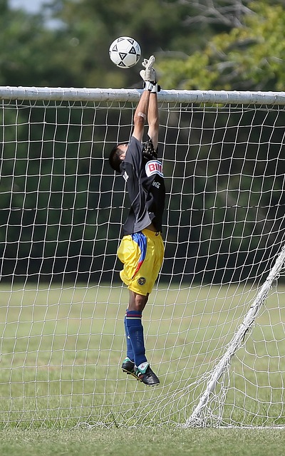 對手戰術的 對手戰術的