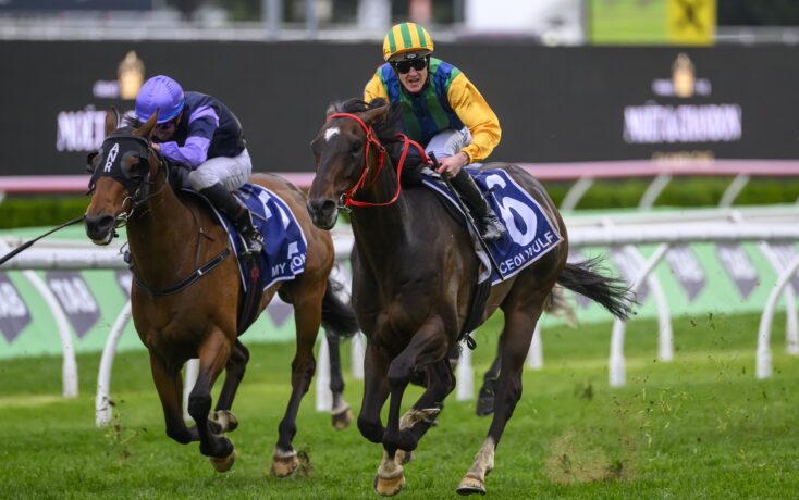 的冷静与果 的冷静与果