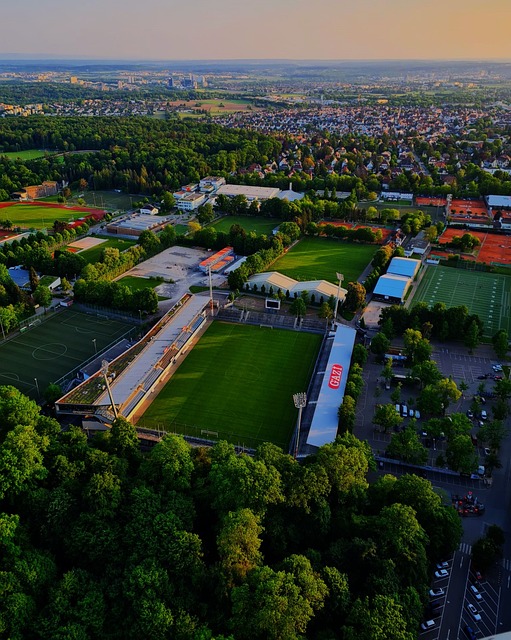 育教育工作 育教育工作