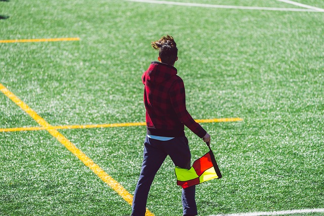 据的分析 据的分析